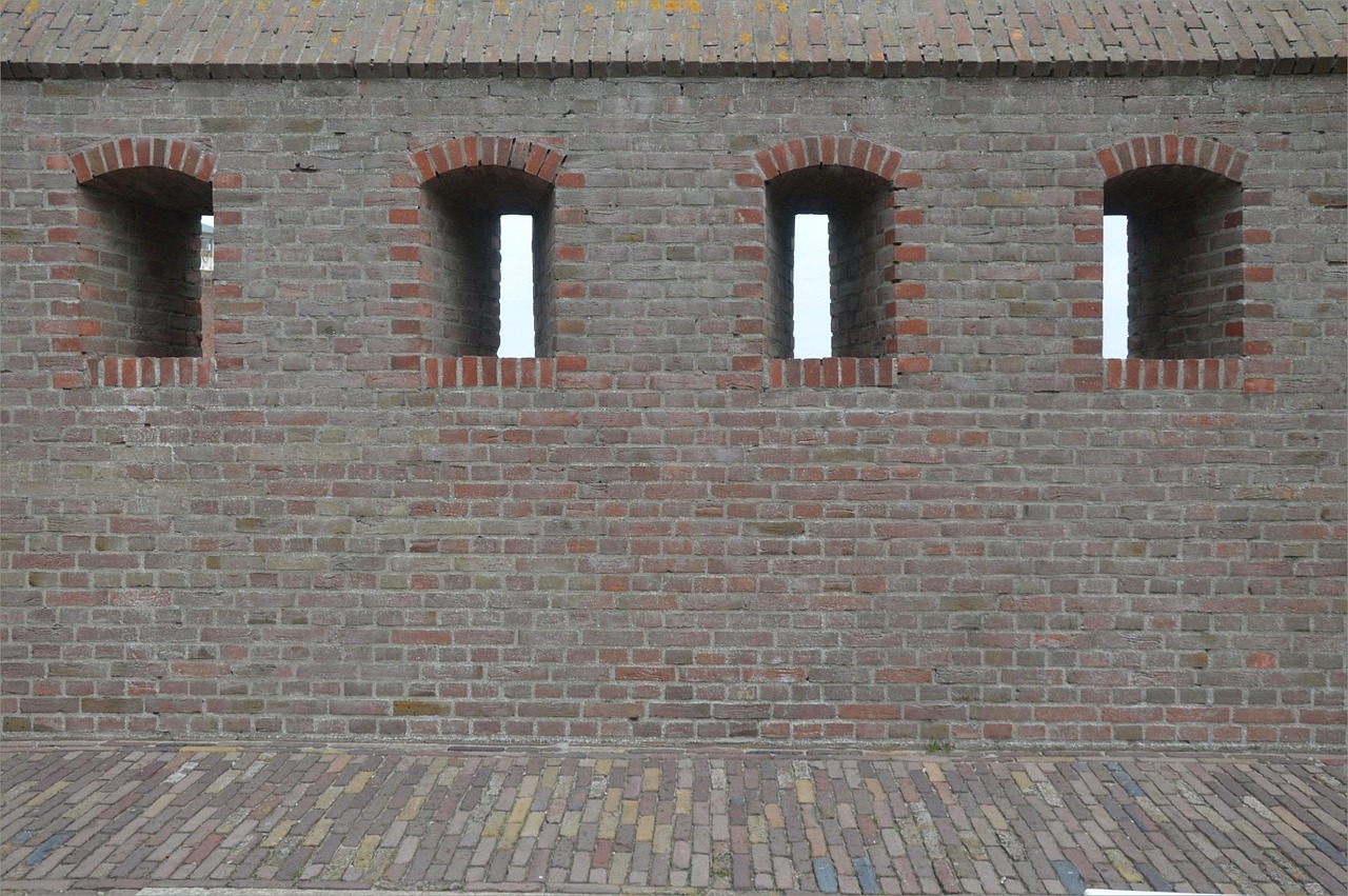 碟调网app怎么详情下载教程