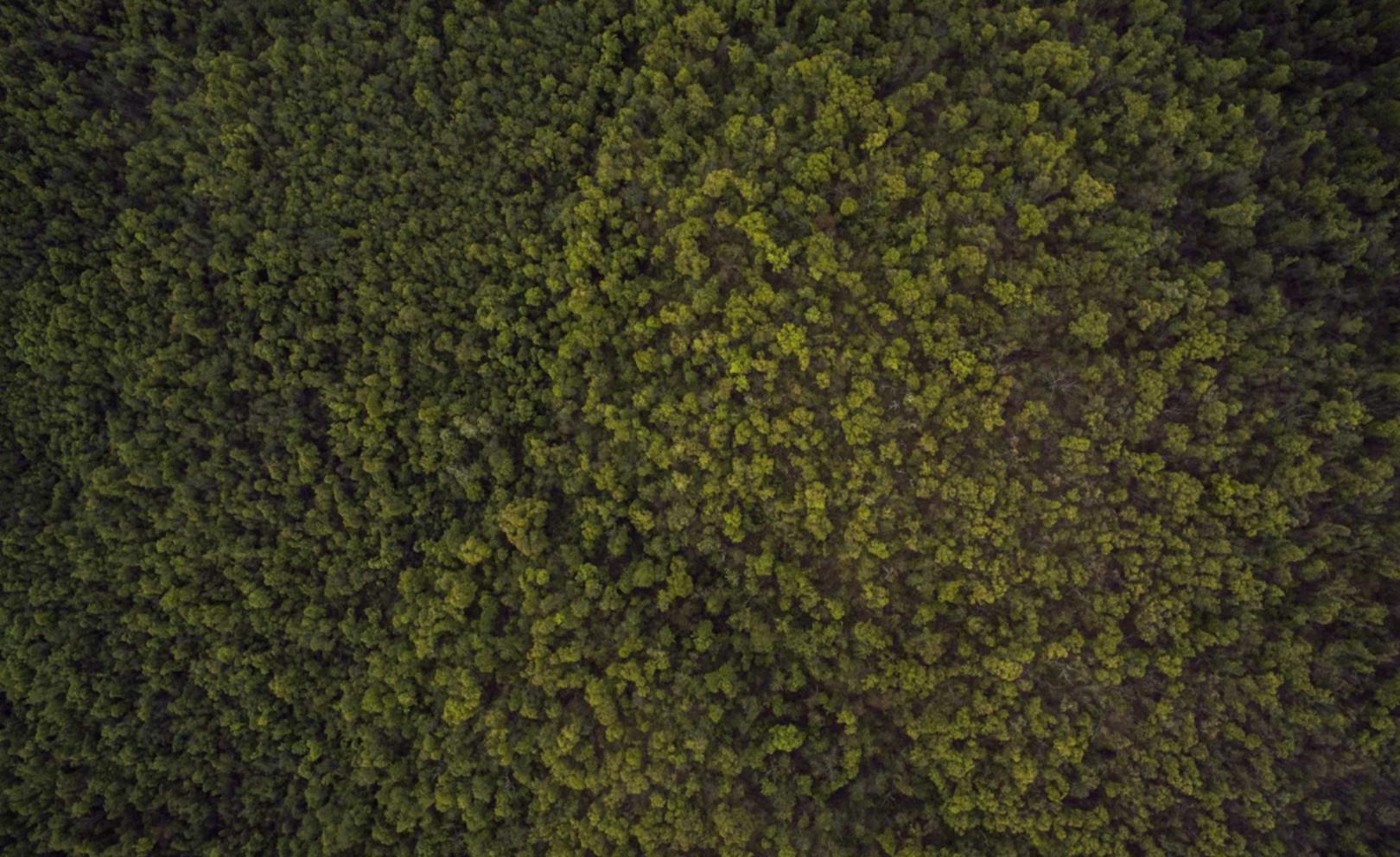 冰火启示录：和讯科技平台做代理